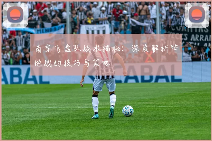 南京飞盘队战术揭秘：深度解析阵地战的技巧与策略