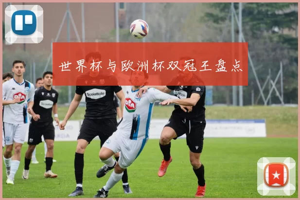 世界杯与欧洲杯双冠王盘点
