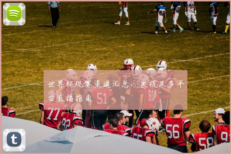 世界杯观赛渠道汇总，央视及多平台直播指南