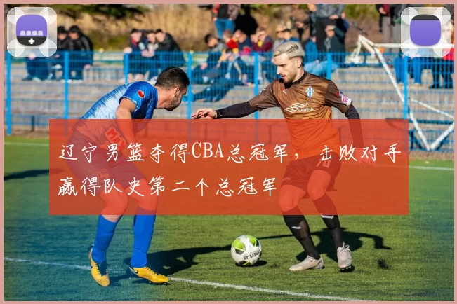 辽宁男篮夺得CBA总冠军，击败对手赢得队史第二个总冠军