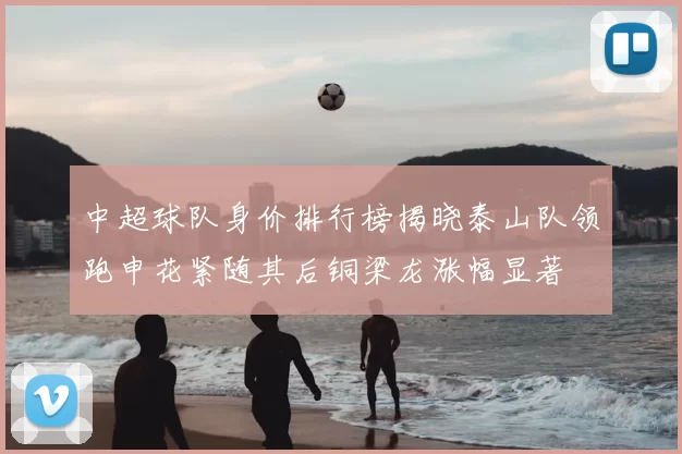 中超球队身价排行榜揭晓泰山队领跑申花紧随其后铜梁龙涨幅显著