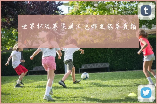 世界杯观赛渠道汇总哪里能看直播