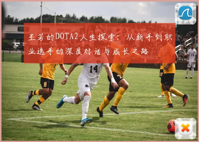 王芳的DOTA2人生探索：从新手到职业选手的深度对话与成长之路