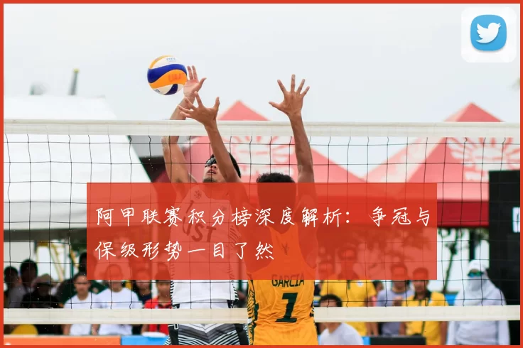 阿甲联赛积分榜深度解析:争冠与保级形势一目了然