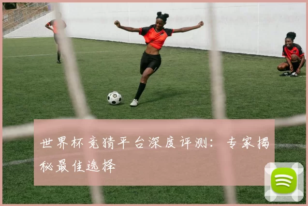 世界杯竞猜平台深度评测：专家揭秘最佳选择
