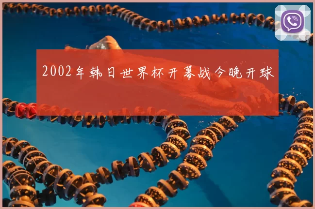 2002年韩日世界杯开幕战今晚开球