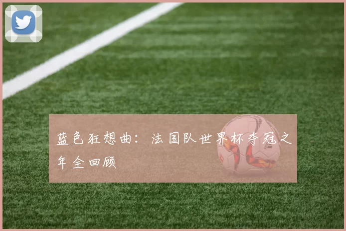 蓝色狂想曲：法国队世界杯夺冠之年全回顾