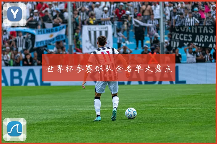 世界杯参赛球队全名单大盘点