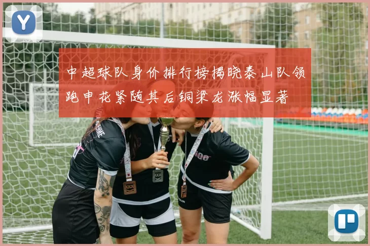 中超球队身价排行榜揭晓泰山队领跑申花紧随其后铜梁龙涨幅显著