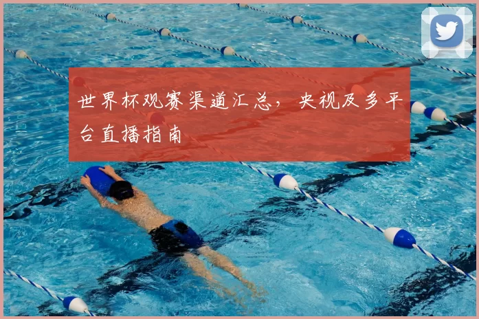 世界杯观赛渠道汇总,央视及多平台直播指南